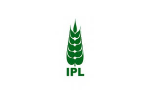 IPL